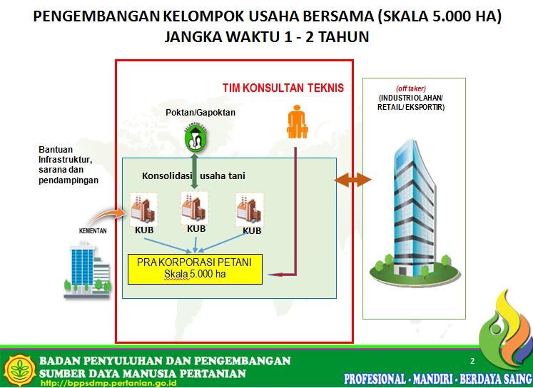 Satu KUB 1 Desa, Kelembagaan Petani Ideal di Banyuasin Sumsel